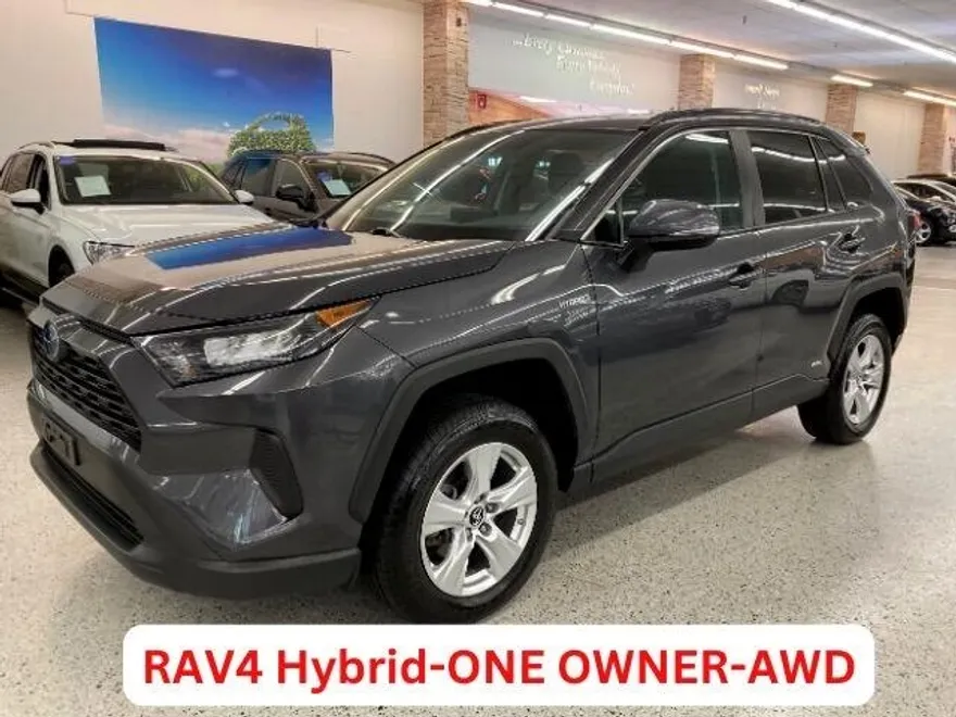 2019 Toyota RAV4 Hybrid LE photo 1