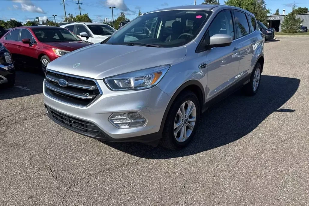 2019 Ford Escape SE photo 1