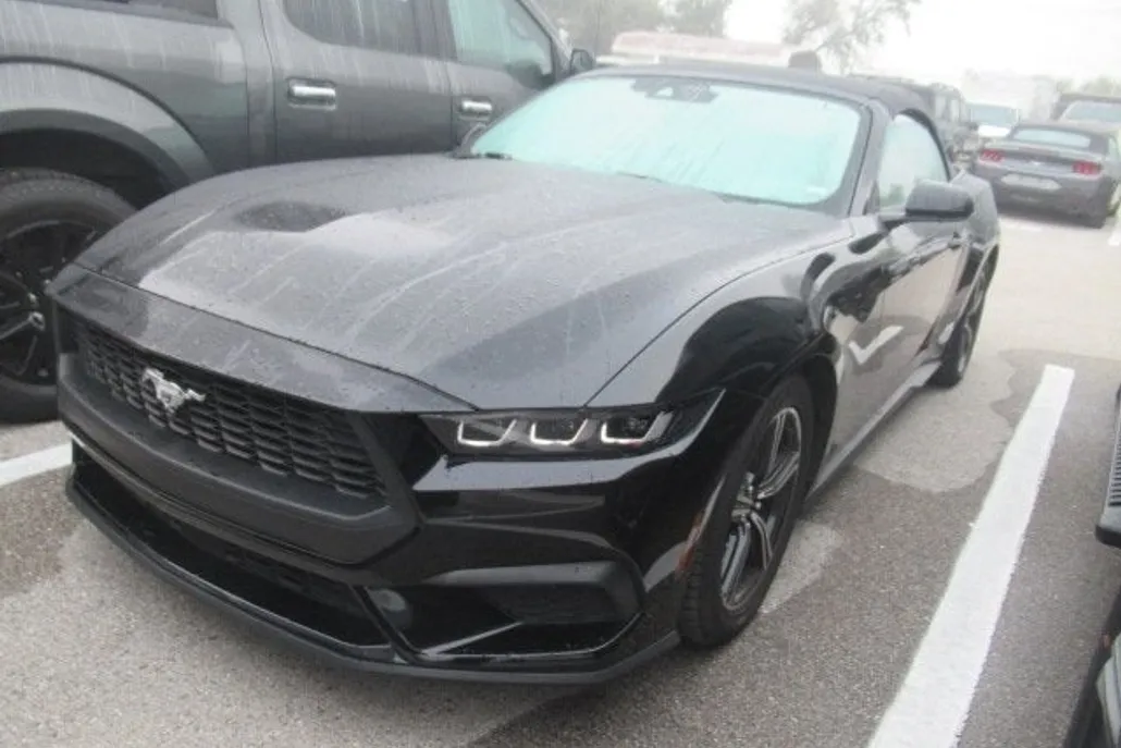2024 Ford Mustang EcoBoost Convertible photo 1
