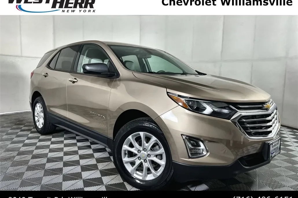 2019 Chevrolet Equinox LS photo 1