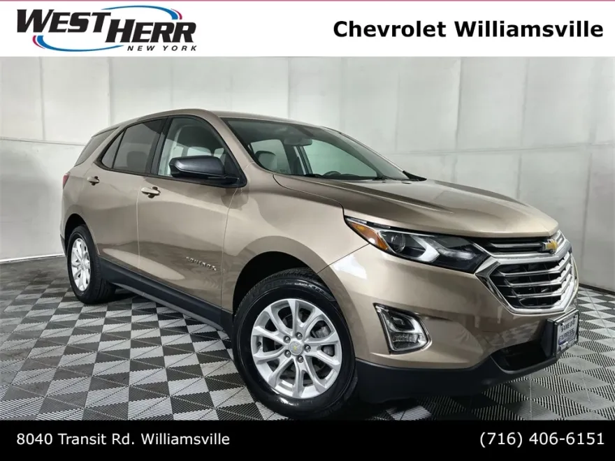 2019 Chevrolet Equinox LS photo 1