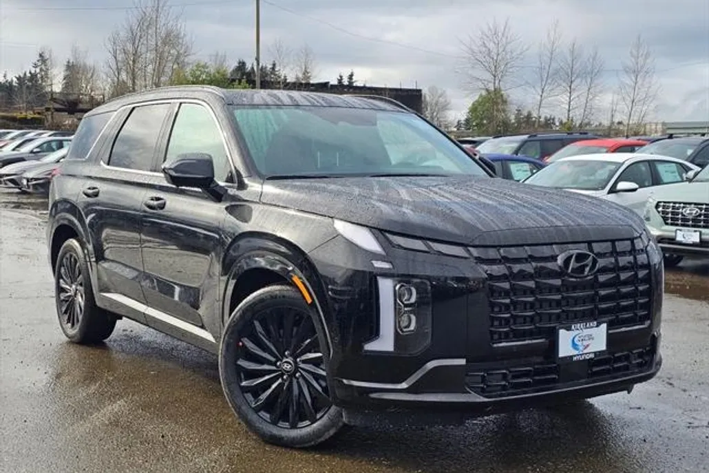 2025 Hyundai Palisade Calligraphy photo 1