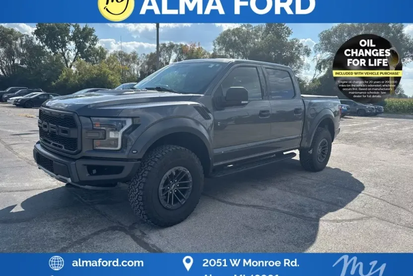 2019 Ford F-150 Raptor photo 1