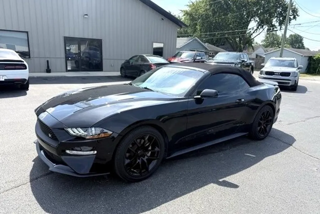 2019 Ford Mustang EcoBoost Premium photo 1
