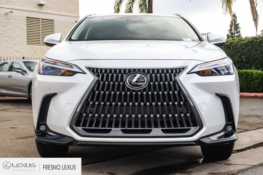 2022 Lexus NX 350h Premium photo 1