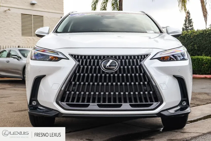 2022 Lexus NX 350h Premium photo 1