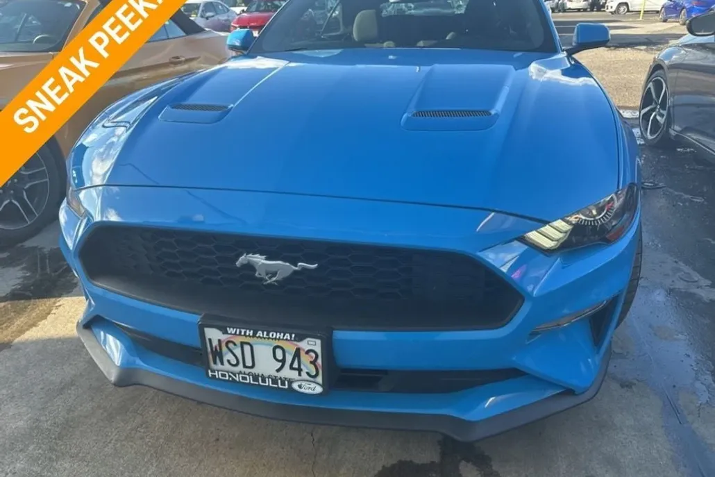 2022 Ford Mustang EcoBoost Convertible photo 1