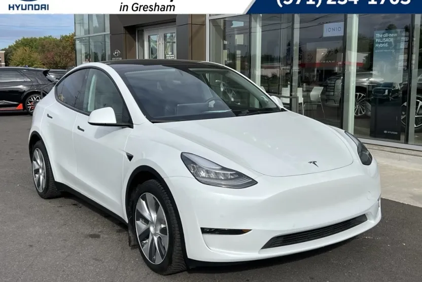2021 Tesla Model Y Long Range photo 1