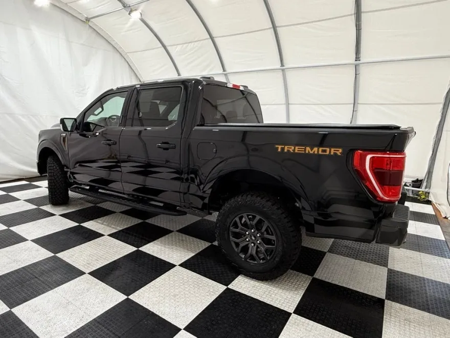 2023 Ford F-150 Tremor photo 1