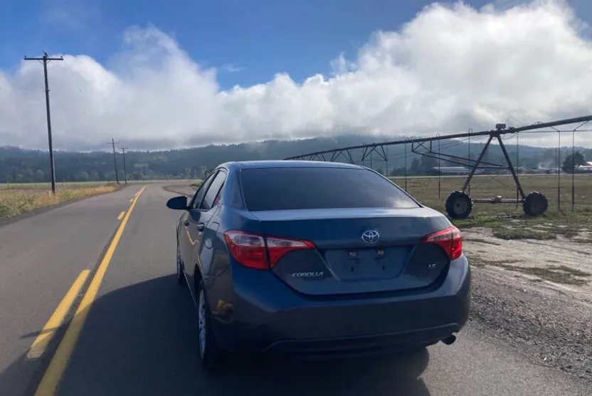 2017 Toyota Corolla LE photo 1