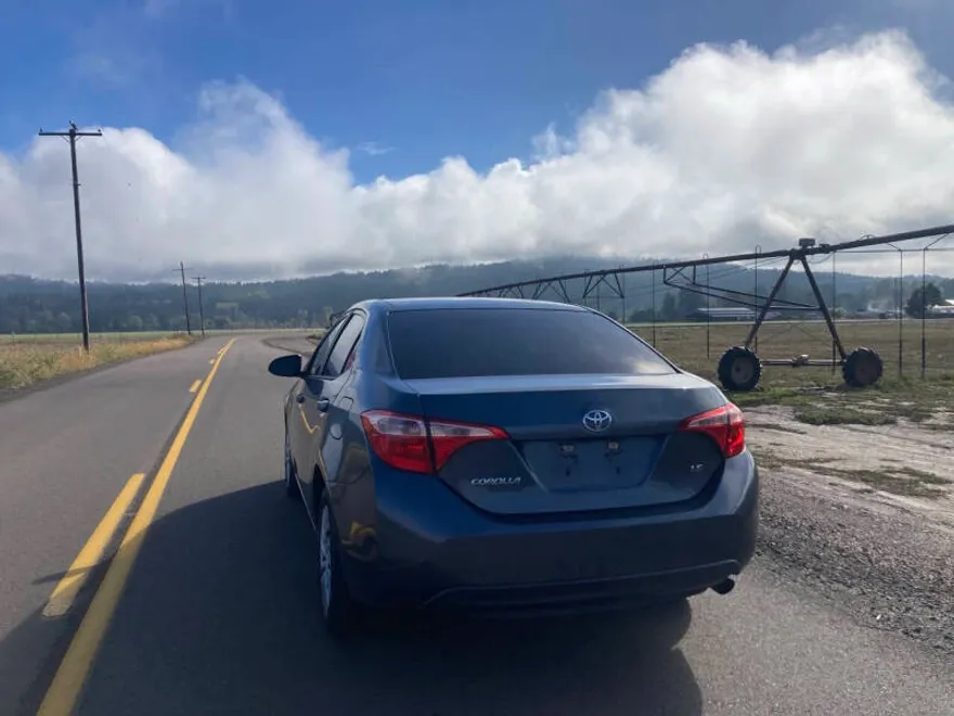 2017 Toyota Corolla LE photo 1