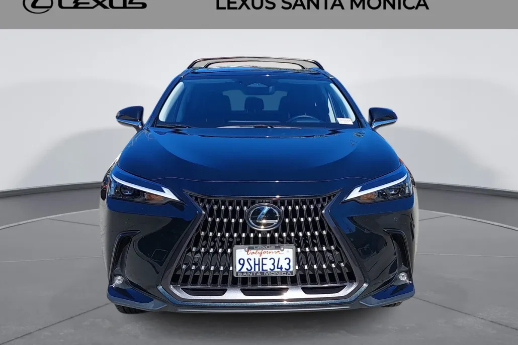 2025 Lexus NX 350h Premium photo 1