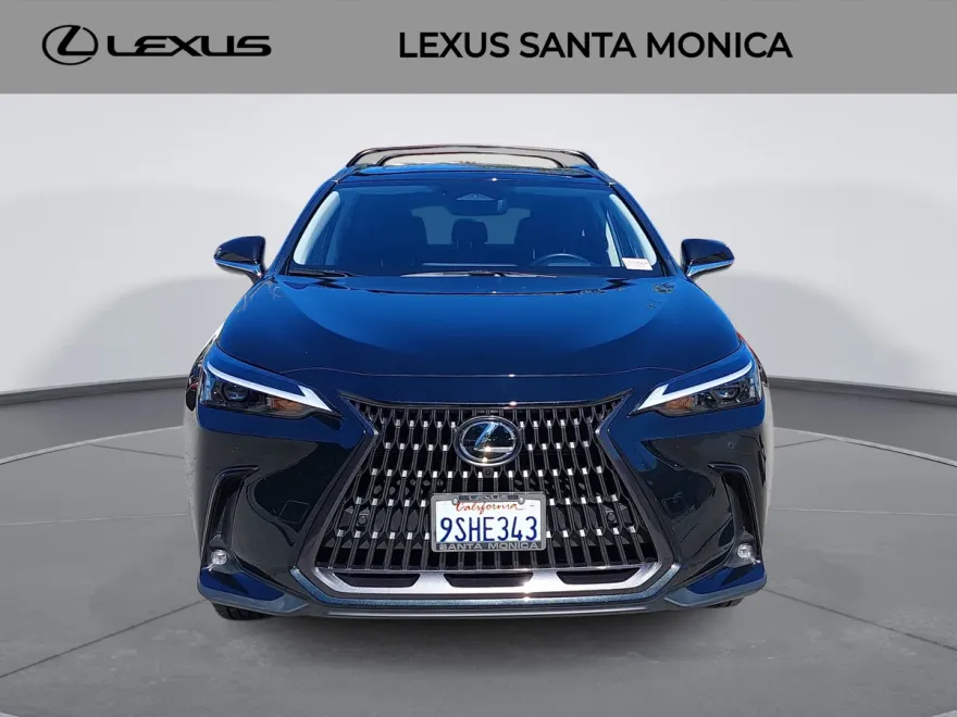 2025 Lexus NX 350h Premium photo 1