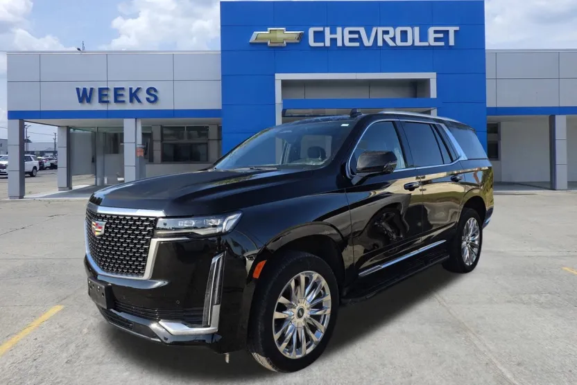 2024 Cadillac Escalade Premium Luxury photo 1