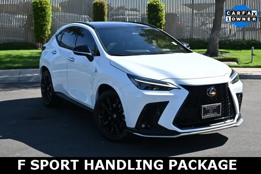 2025 Lexus NX 450h+ F SPORT photo 1