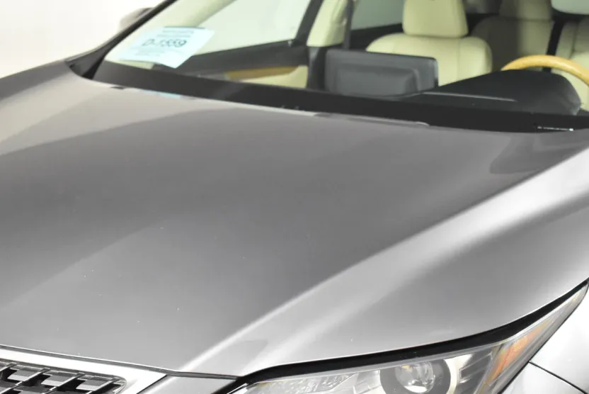 2021 Lexus RX 350 photo 1