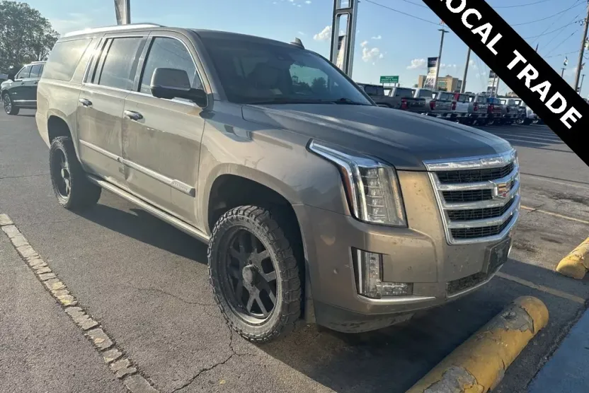 2017 Cadillac Escalade ESV Premium Luxury photo 1