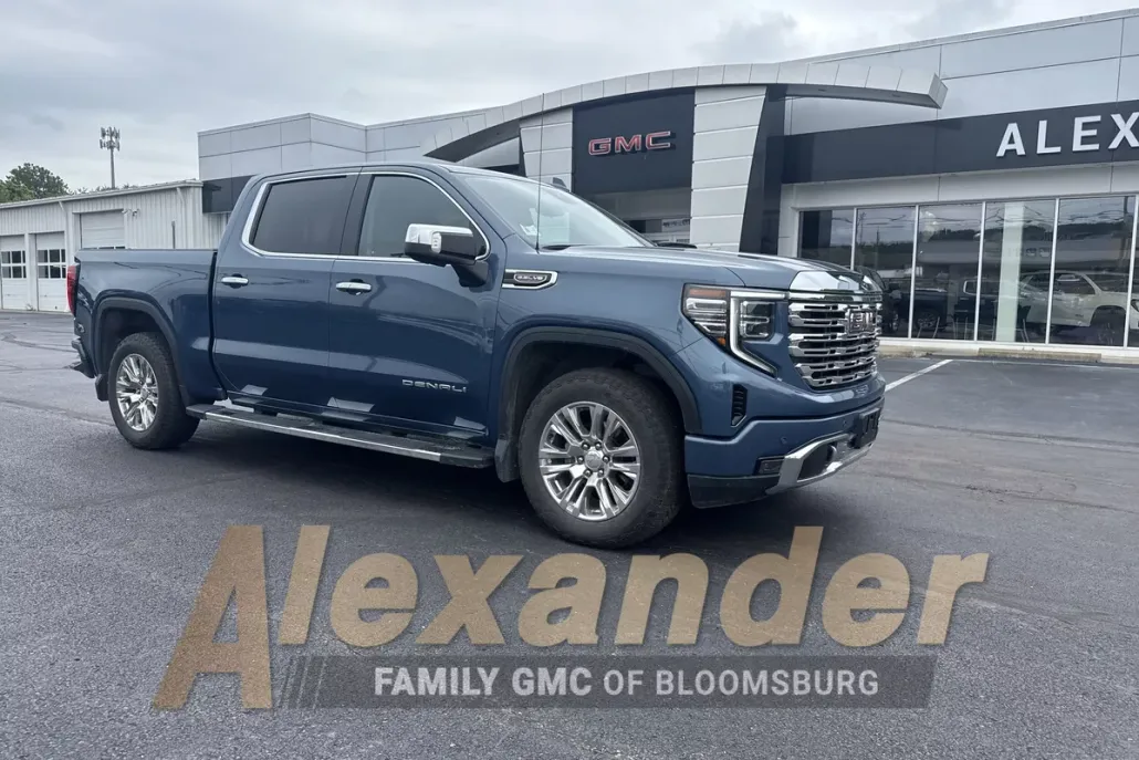 2024 Gmc Sierra 1500 Denali photo 1