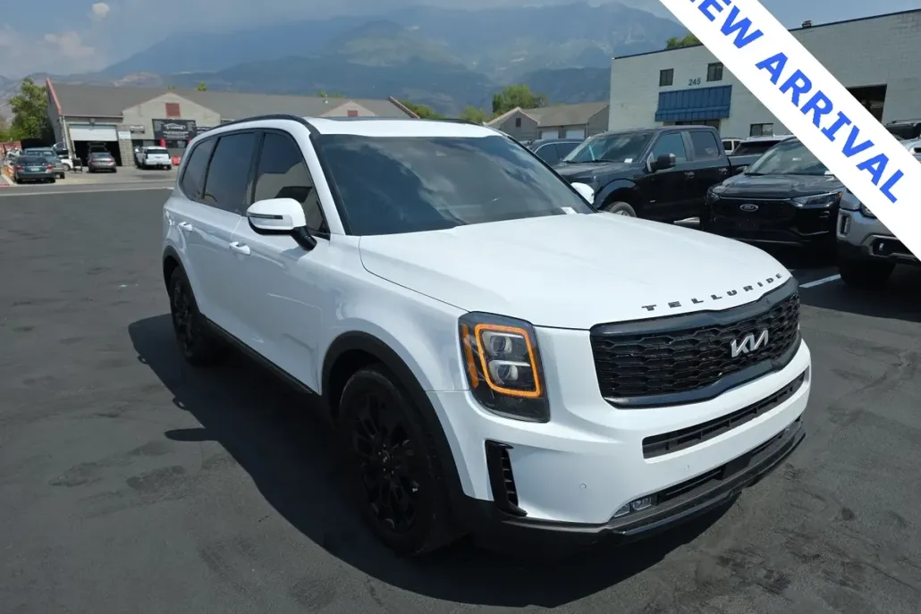 2022 Kia Telluride SX photo 1