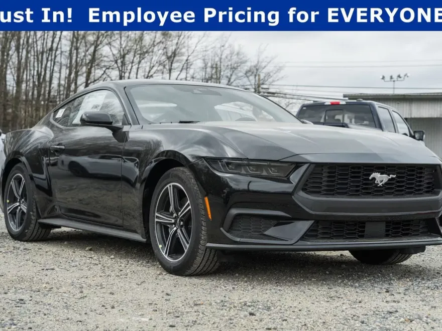 2025 Ford Mustang EcoBoost photo 1