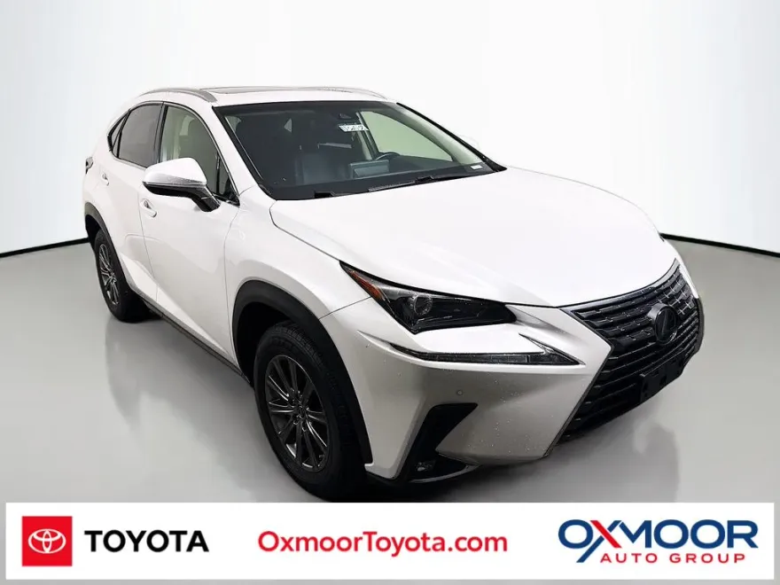 2019 Lexus NX 300 Luxury photo 1