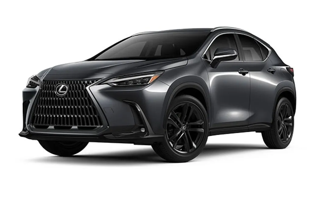 2025 Lexus NX Luxury photo 1