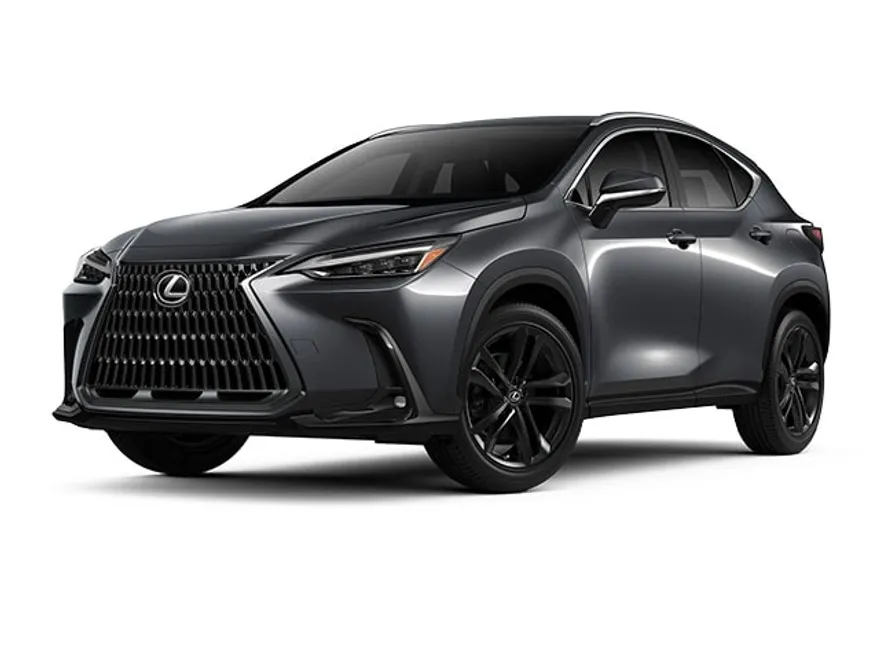 2025 Lexus NX Luxury photo 1
