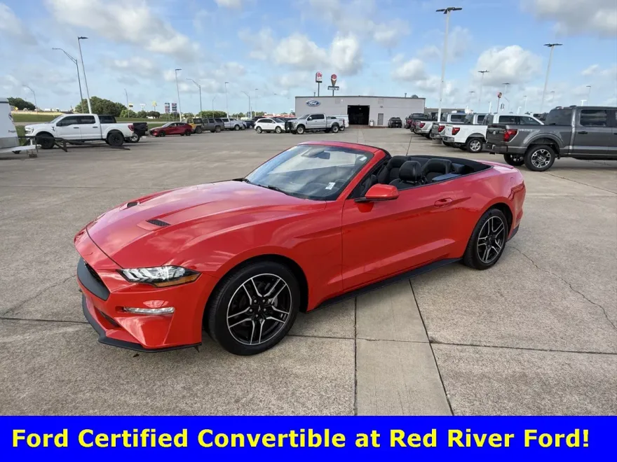 2023 Ford Mustang EcoBoost Premium Convertible photo 1