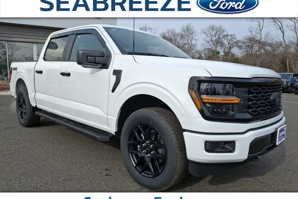 2025 Ford F-150 STX photo 1