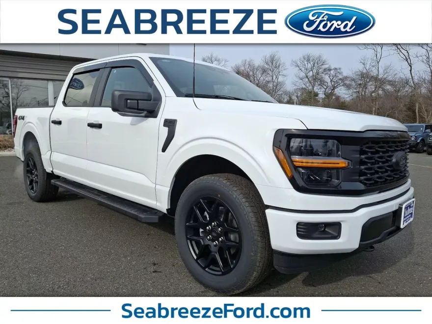 2025 Ford F-150 STX photo 1