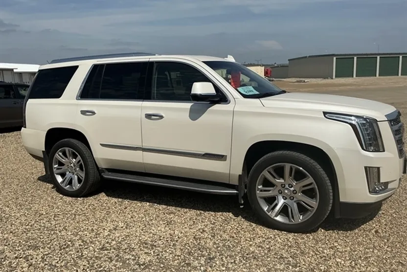 2015 Cadillac Escalade Luxury photo 1