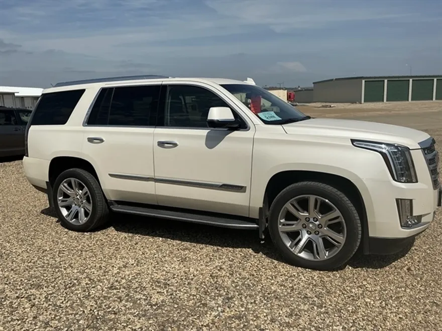 2015 Cadillac Escalade Luxury photo 1