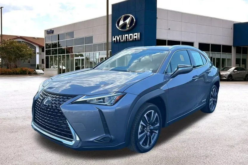 2021 Lexus UX 250h photo 1