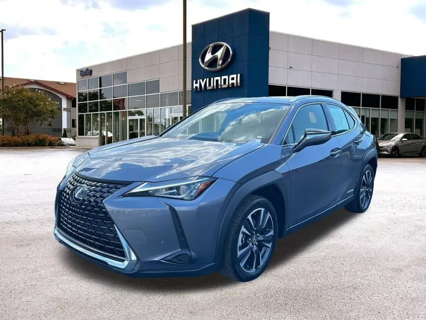 2021 Lexus UX 250h photo 1