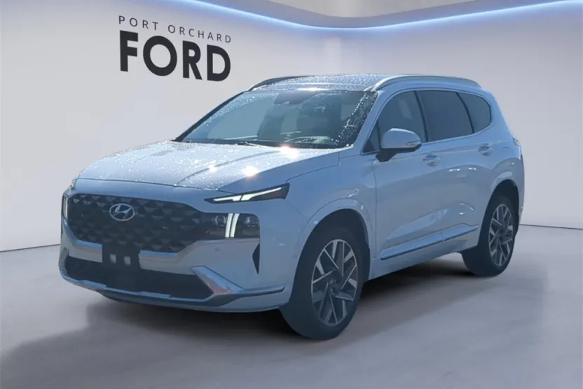 2021 Hyundai Santa Fe Calligraphy photo 1