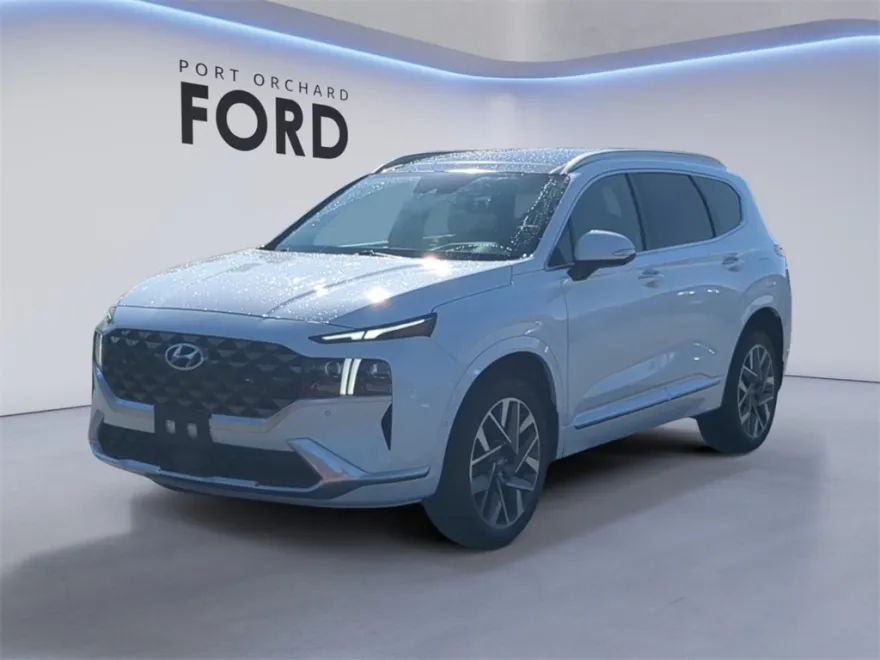 2021 Hyundai Santa Fe Calligraphy photo 1
