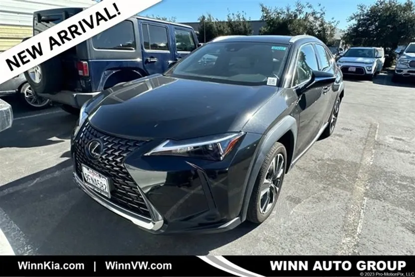 2023 Lexus UX 250h photo 1