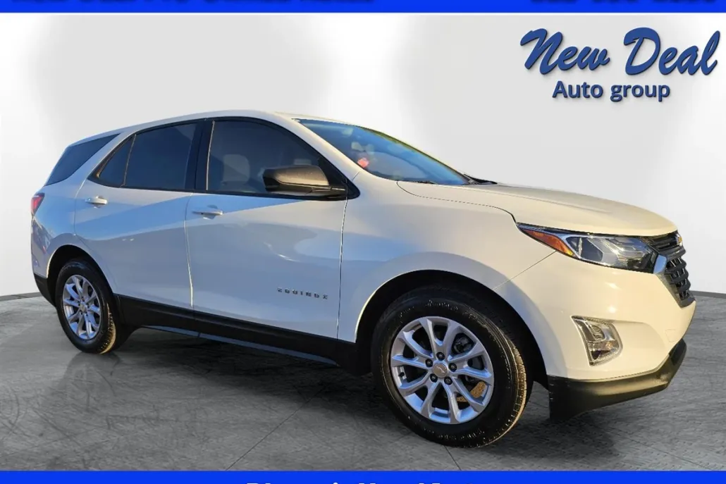 2019 Chevrolet Equinox LS photo 1