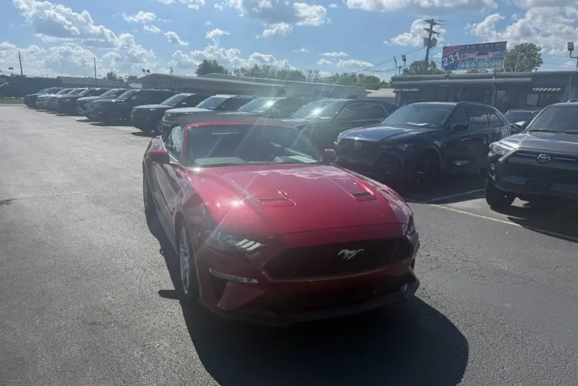 2019 Ford Mustang GT Premium Convertible photo 1