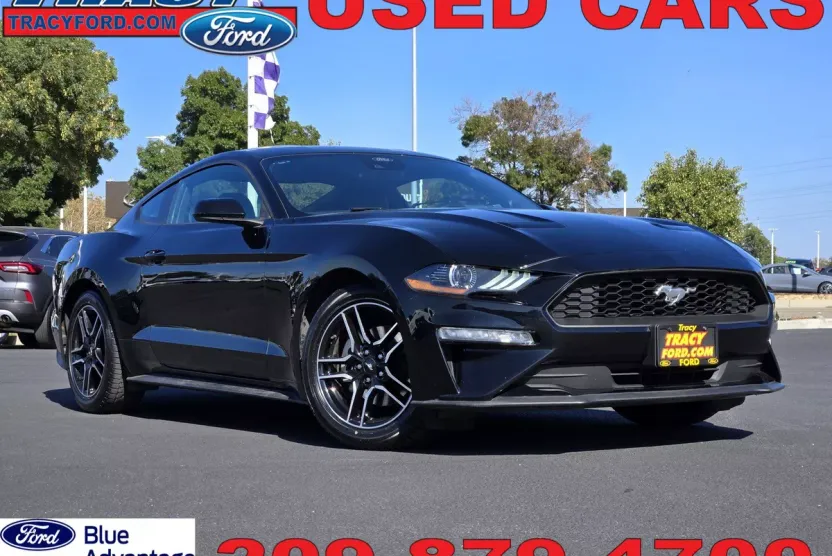 2023 Ford Mustang EcoBoost Premium photo 1