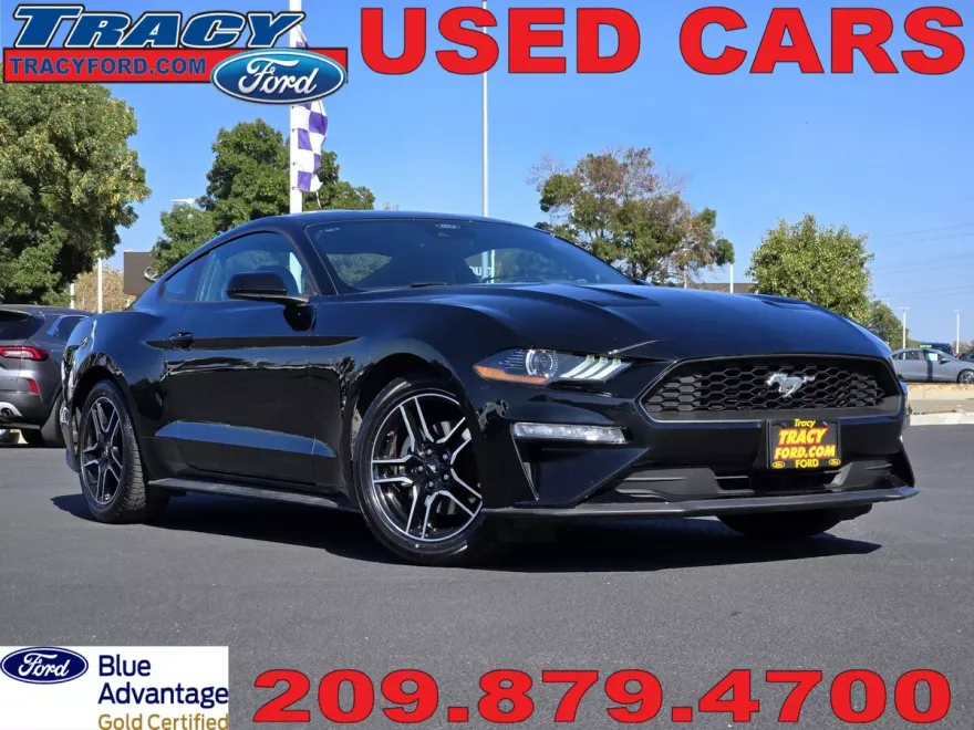2023 Ford Mustang EcoBoost Premium photo 1