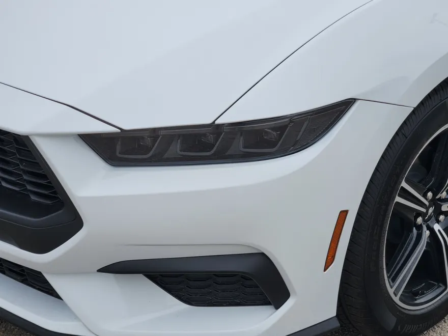 2025 Ford Mustang EcoBoost photo 1