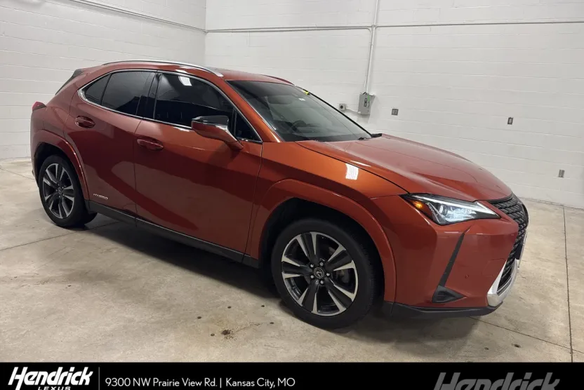 2022 Lexus UX 250h photo 1