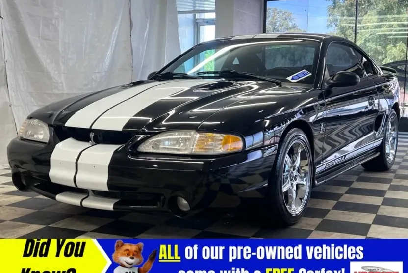 1997 Ford Mustang Cobra photo 1