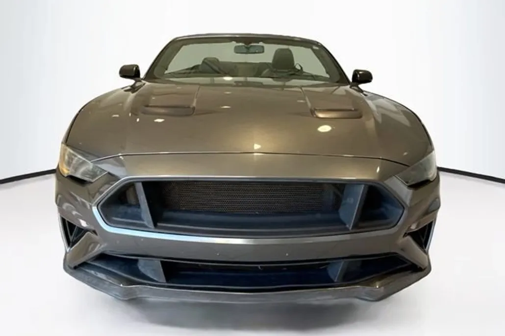 2019 Ford Mustang GT Premium Convertible photo 1