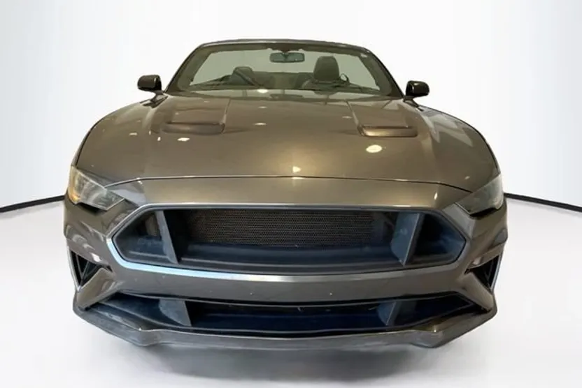2019 Ford Mustang GT Premium Convertible photo 1