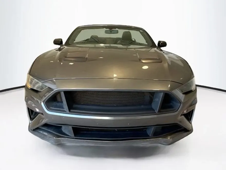 2019 Ford Mustang GT Premium Convertible photo 1