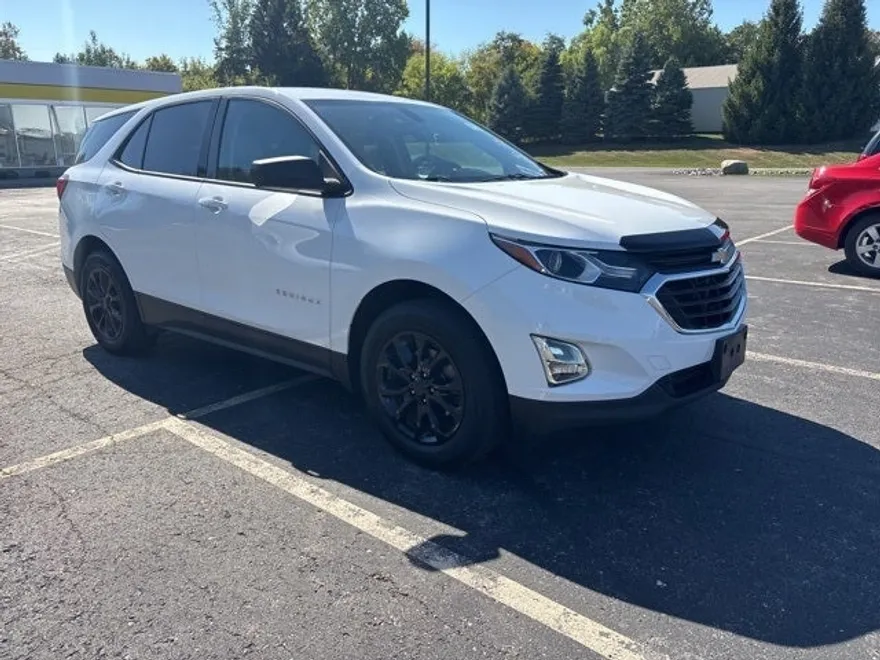 2019 Chevrolet Equinox LS photo 1
