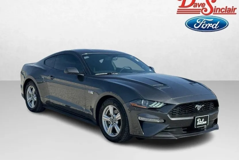 2019 Ford Mustang EcoBoost photo 1