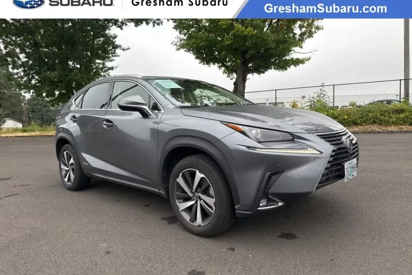 2020 Lexus NX 300h Premium photo 1